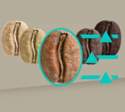 SIEMENS EQ.900 TQ905R03 Inox Garantie 3 Ans -Kafftec Magasin 8siemenseq900inox