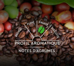 30 Capsules Compatibles Nespresso® - Espresso BIO - CARTE NOIRE -Kafftec Magasin bio notes aro 1