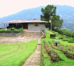 250g Café En Grain Bio La Esperanza - Cafés Lugat -Kafftec Magasin cafe grains esperanza colombie 3 1