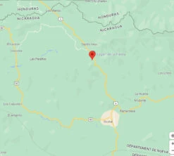 4x250g Café En Grain Nicaragua Don Olman - Cafés Lugat -Kafftec Magasin cafeengraincafeslugatdipilto