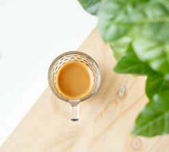 1kg Café En Grain Bio Mélange Savanah - GREEN LION COFFEE 7 1kg Café En Grain Bio Mélange Savanah - GREEN LION COFFEE -Kafftec Magasin cafeengraingreenlioncoffeeexpresso 3