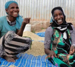 250 G- Café En Grain Dambi Uddo - LE PIANTAGIONI DEL CAFFE -Kafftec Magasin cafeengrainlpdcdambiuddo1