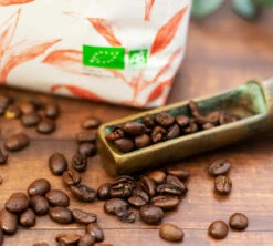 500g Café En Grain Bio Mexique Maison Taillefer -Kafftec Magasin cafeengrainmaisontaillefermexiquepackshot 3