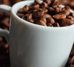 1kg Café En Grain Intermezzo - SEGAFREDO -Kafftec Magasin cafeengrainsegafredointermezzo1kg