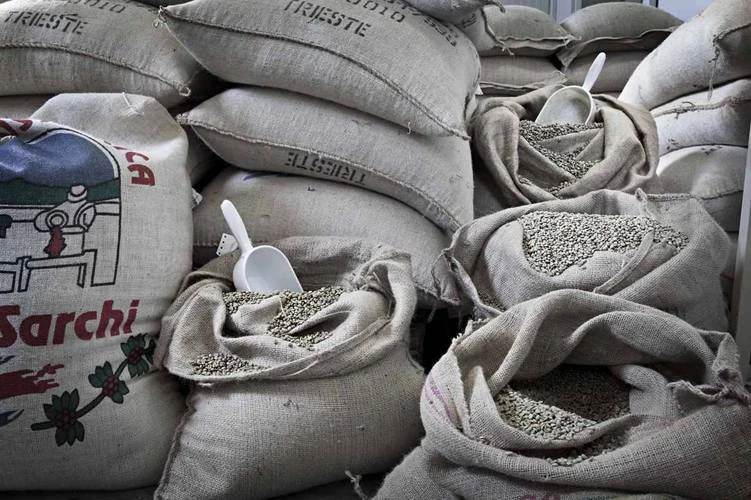 150 Dosettes ESE Suprema - CAFFE DEL FARO 5 150 Dosettes ESE Suprema - CAFFE DEL FARO – Image 3