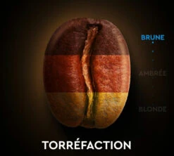 30 Capsules Compatibles Nespresso®- Espresso Décafénié - CARTE NOIRE -Kafftec Magasin dca torref 1