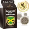 50 Dosettes ESE Jamaïque Blue Mountain - BRULERIE D'ALRE