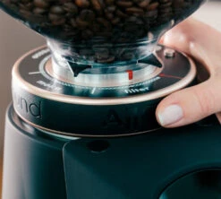 Moulin à Café Fiorenzato AllGround Noir Mat -Kafftec Magasin fiorenzato allground reglages