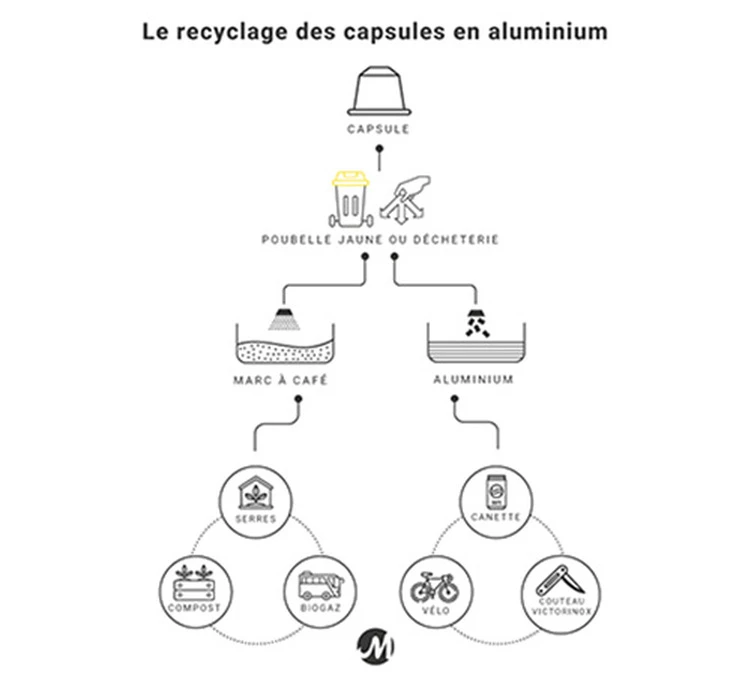 Pack Découverte Bio - 40 Capsules - Compatibles Nespresso® - GREEN LION COFFEE 5 Pack Découverte Bio - 40 Capsules - Compatibles Nespresso® - GREEN LION COFFEE – Image 3