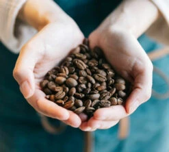 Café En Grains Brûlerie Du Cantin - Mélange Dégustation 100% Arabica - 250gr 8 Café En Grains Brûlerie Du Cantin - Mélange Dégustation 100% Arabica - 250gr -Kafftec Magasin lifestyle grain 2