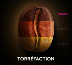 60 Capsules Compatibles Nespresso® - Espresso Intense N°9 - CARTE NOIRE 14 60 Capsules Compatibles Nespresso® - Espresso Intense N°9 - CARTE NOIRE -Kafftec Magasin n9 torref 2