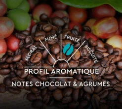 60 Capsules Compatibles Nespresso® - Espresso Classique N°7 - CARTE NOIRE -Kafftec Magasin profil classique n7 2