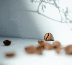 500g Café En Grain Bio Moka D'Ethiopie - CAFES RICHARD -Kafftec Magasin specialtycoffee