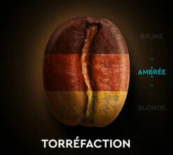 60 Capsules Compatibles Nespresso® - Espresso Classique N°7 - CARTE NOIRE -Kafftec Magasin torref n7 2